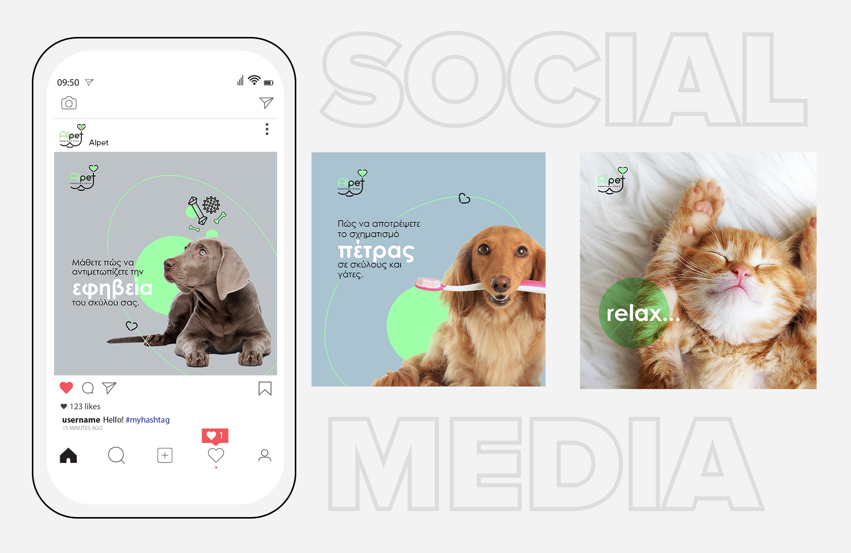 _Project_for_Our_Website_27 design social media post veterinary clinic