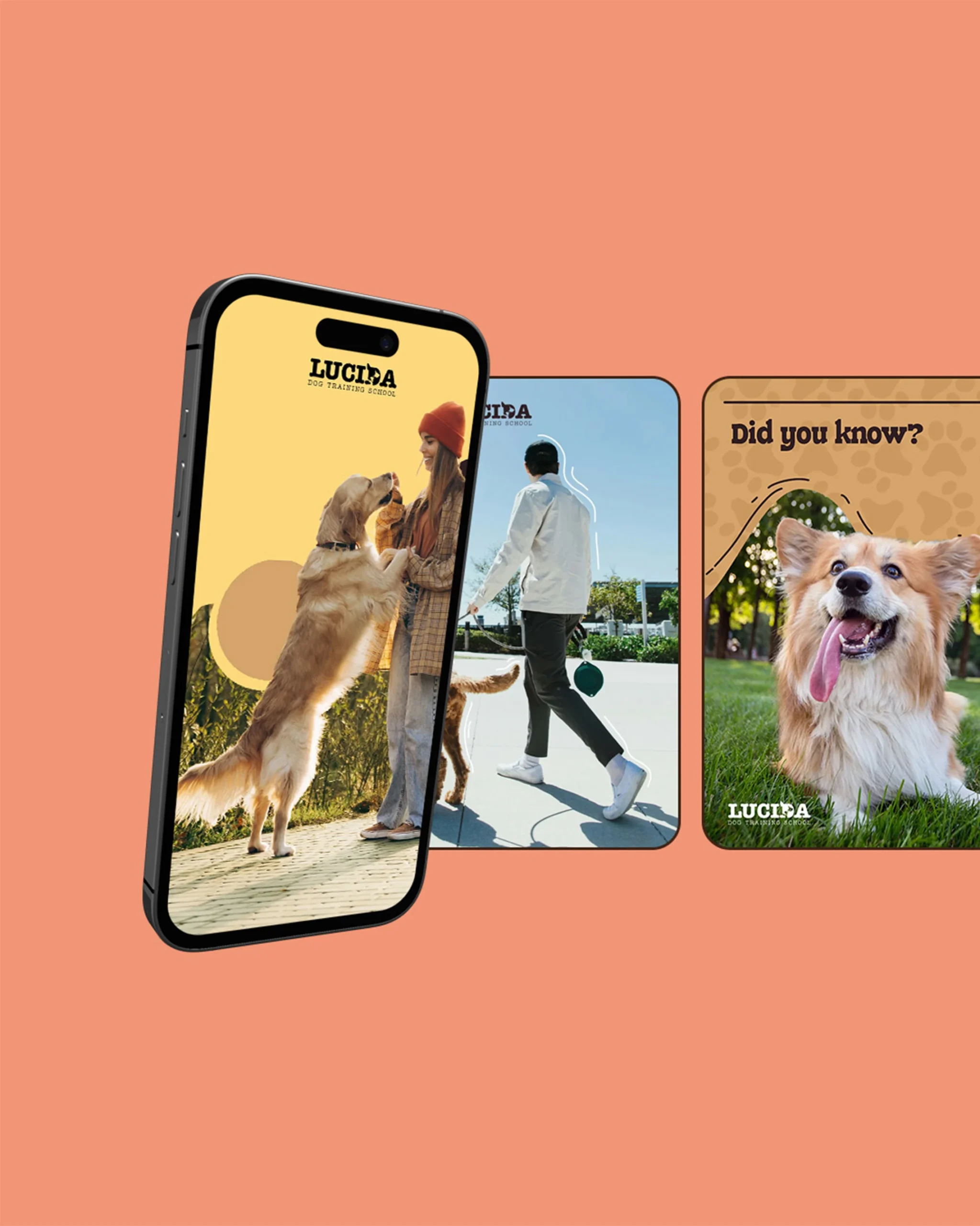 Artboard 2 Dog training branding
