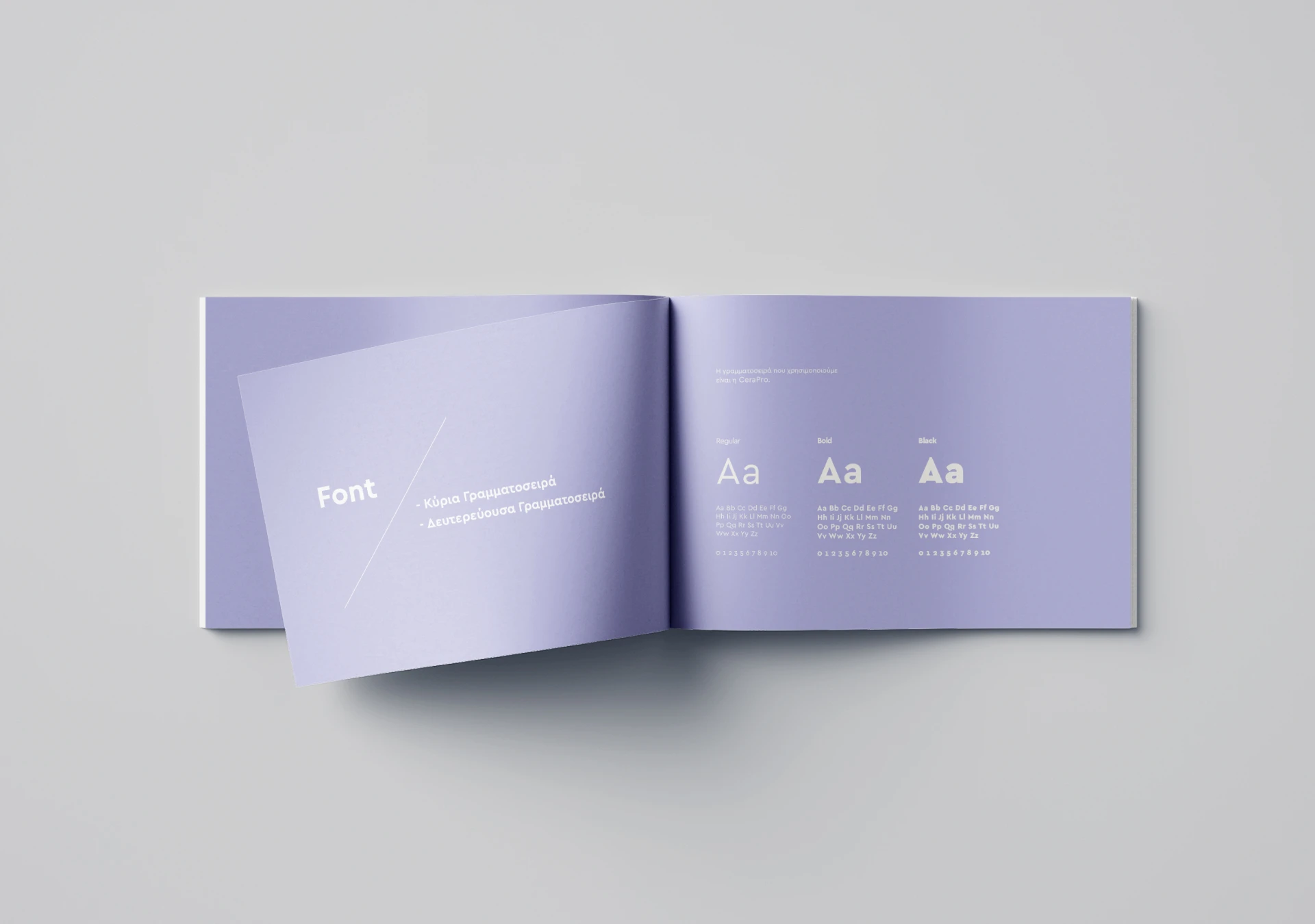 Artboard 16 Brand Guidelines Psychologist