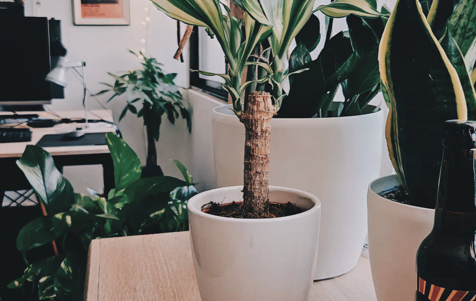 γραφιστικό γραφείο