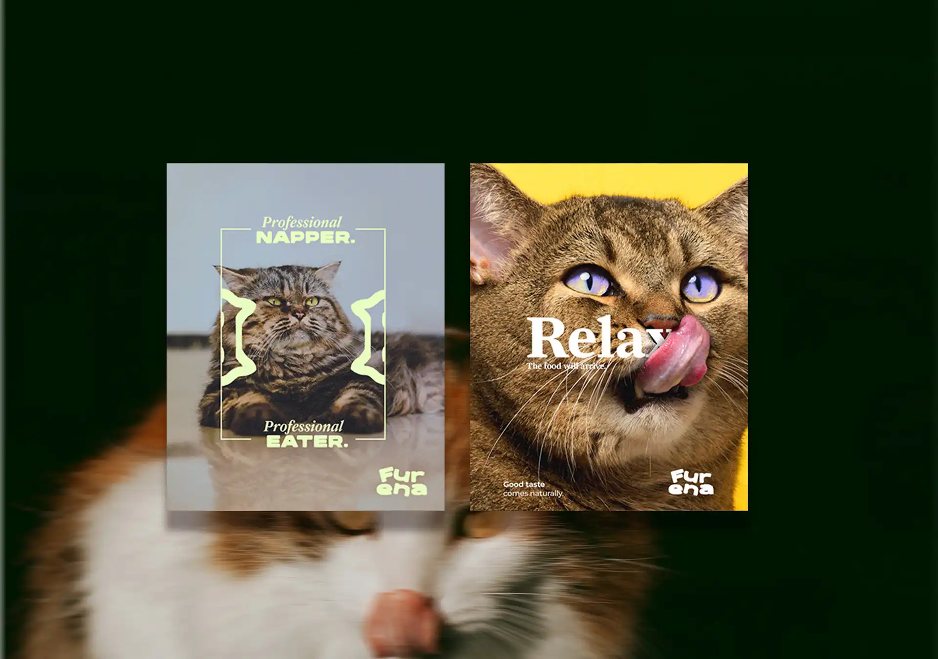 visual identity for pet food brand