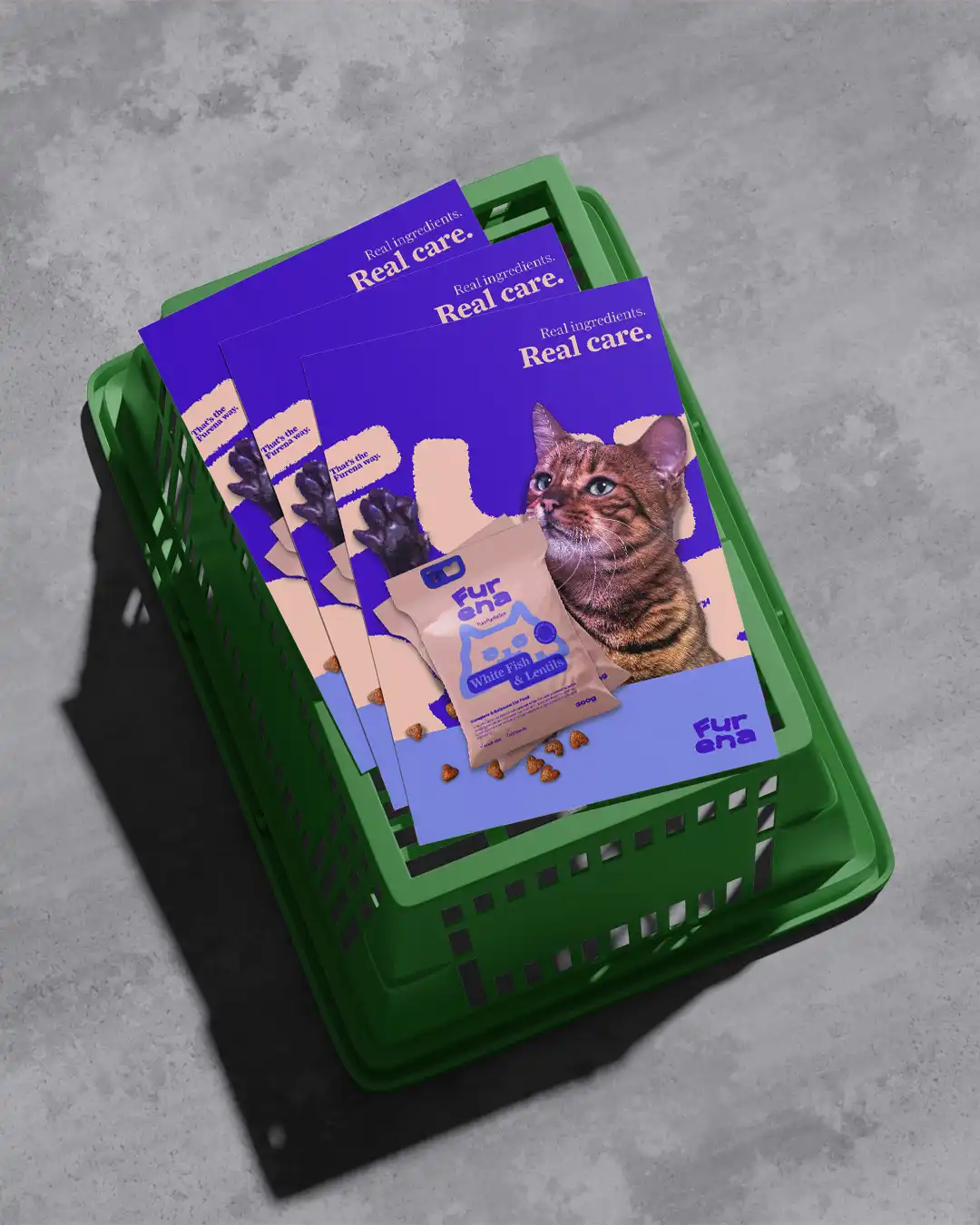 contemporary pet brand design