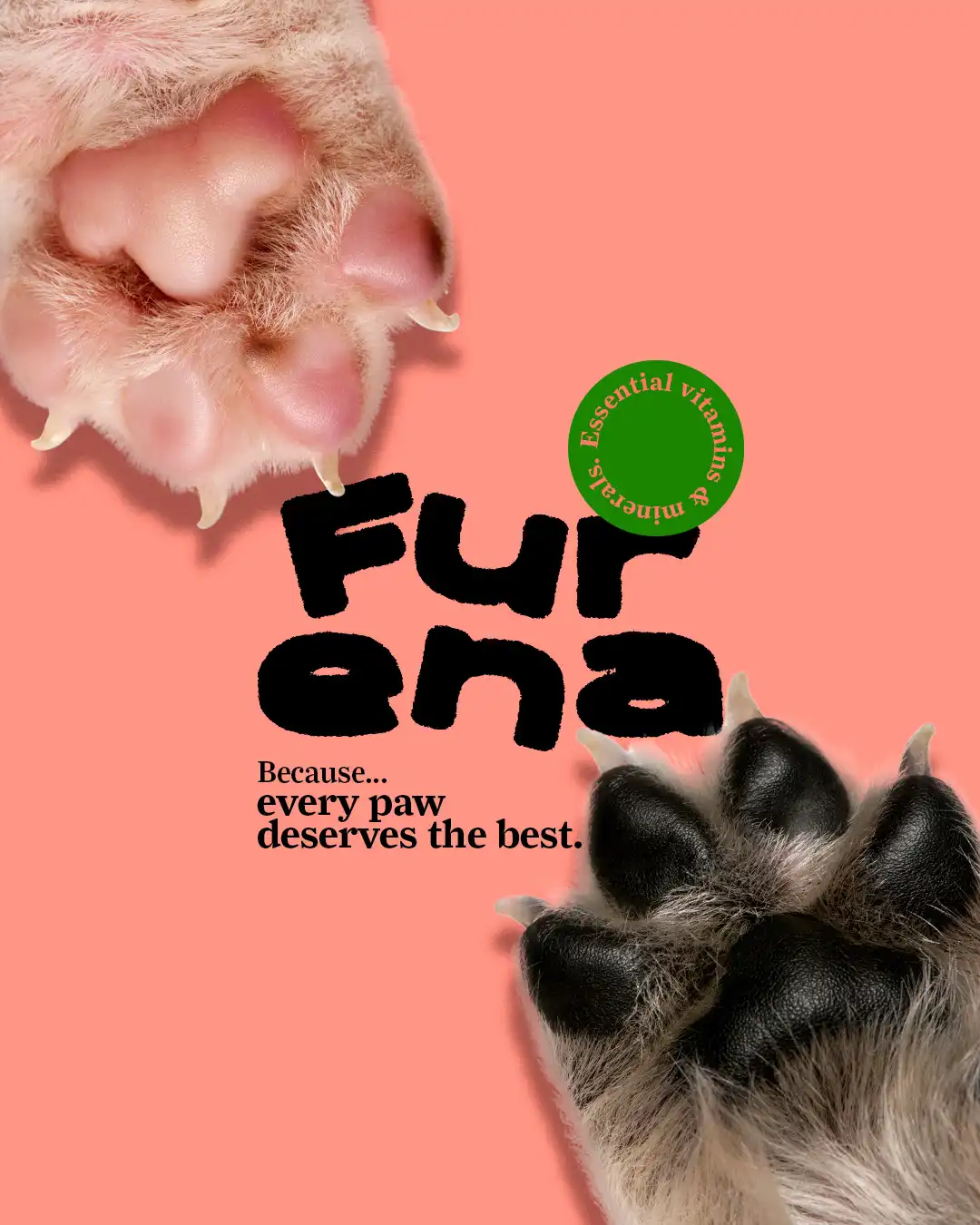 pet poster design