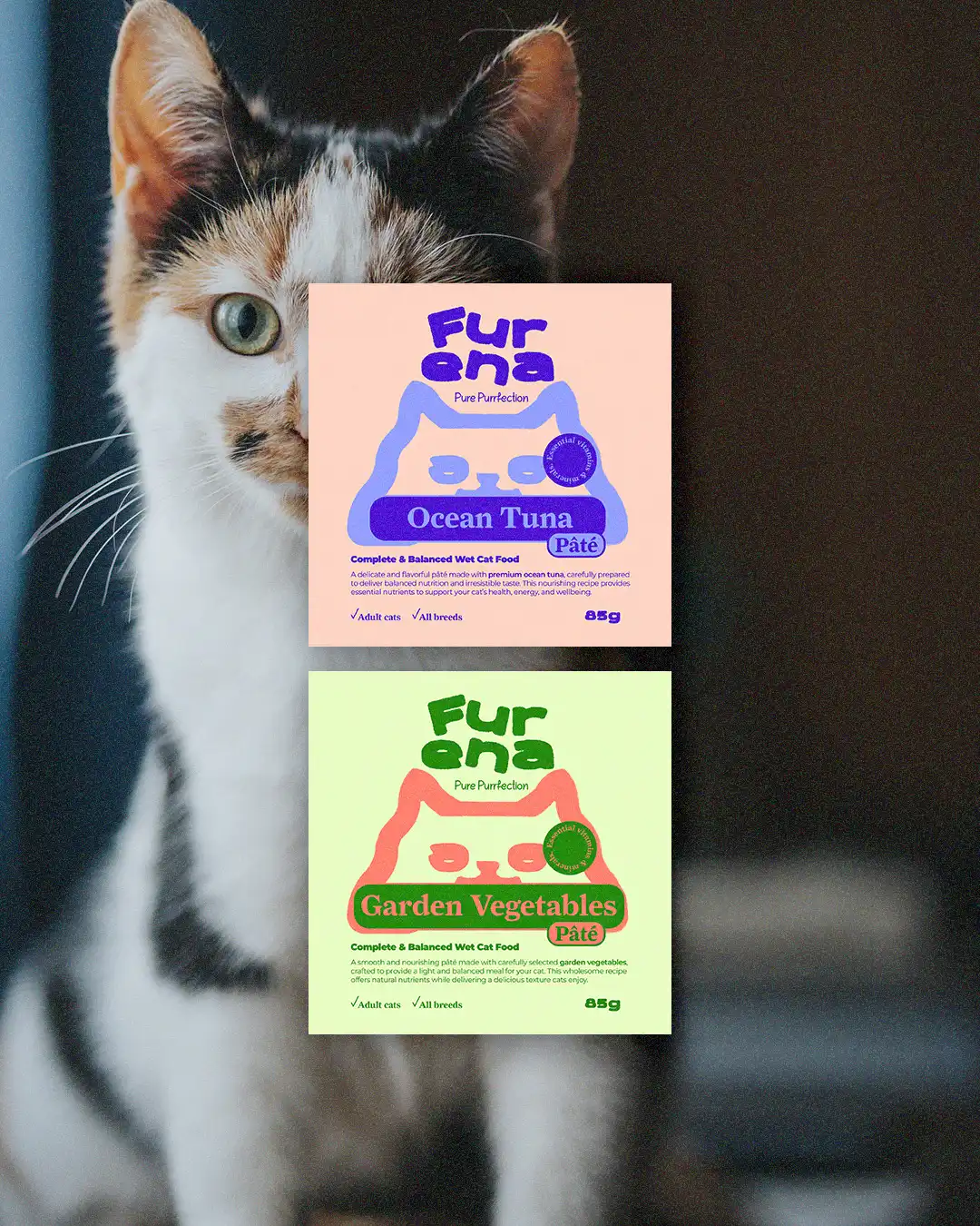 creative packaging design