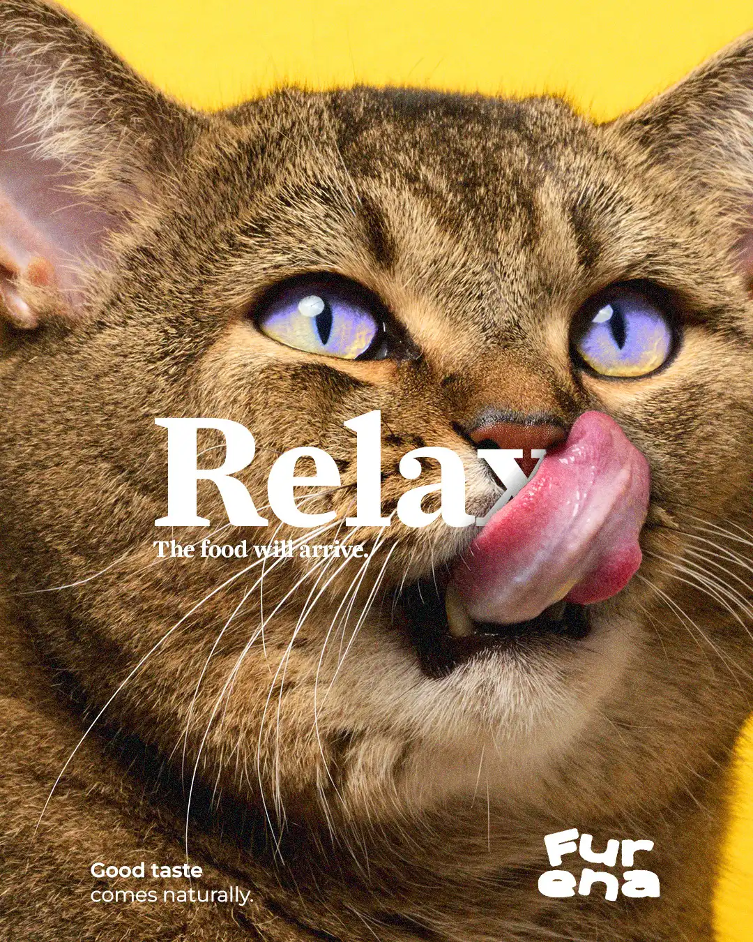 cat food packaging design