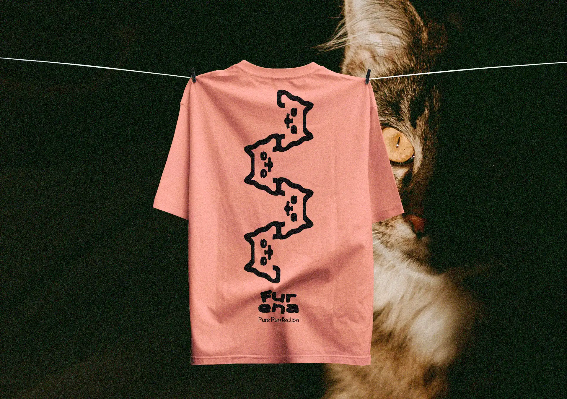 brand identity design