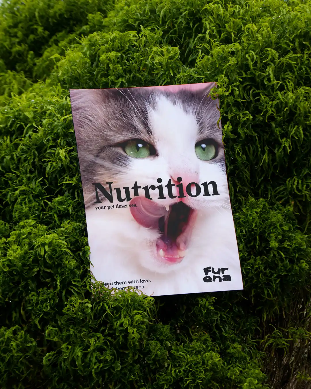 graphic design for food packaging