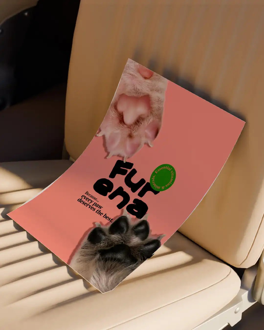 modern pet food brand identity