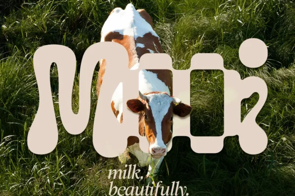dairy brand identity