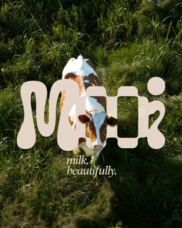 dairy brand identity