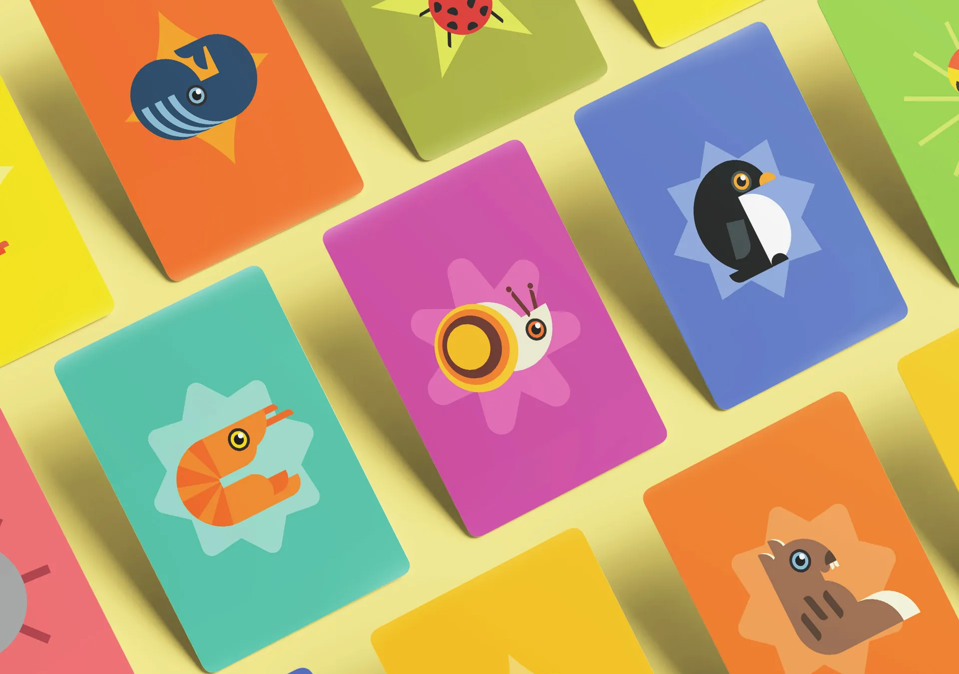 colorful packaging design