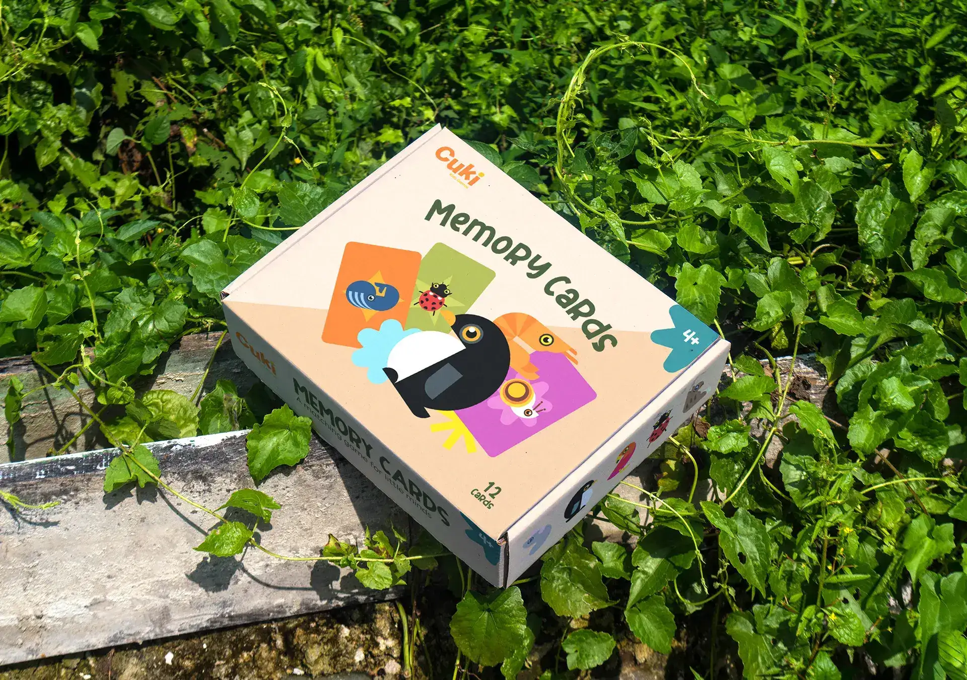 toy packaging design